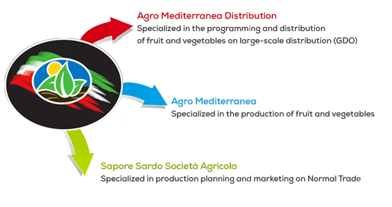 Agro Mediterranea